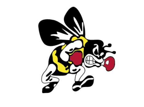 Brecksville-Broadview Heights High School School Logo